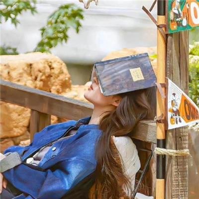 喜羊羊与灰太狼之奇妙大营救